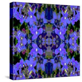 Delphinium X2-Rose Anne Colavito-Stretched Canvas