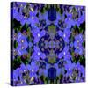 Delphinium X2-Rose Anne Colavito-Stretched Canvas