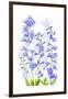 Delphinium-Jacky Parker-Framed Giclee Print