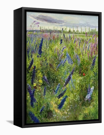 Delphiniums and Emerging Sun, 1991-Timothy Easton-Framed Stretched Canvas