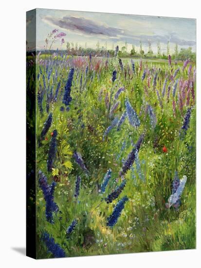 Delphiniums and Emerging Sun, 1991-Timothy Easton-Stretched Canvas