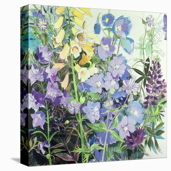Delphiniums and Foxgloves-Claire Spencer-Stretched Canvas