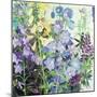 Delphiniums and Foxgloves-Claire Spencer-Mounted Giclee Print