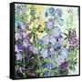 Delphiniums and Foxgloves-Claire Spencer-Framed Stretched Canvas