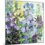 Delphiniums and Foxgloves-Claire Spencer-Mounted Giclee Print