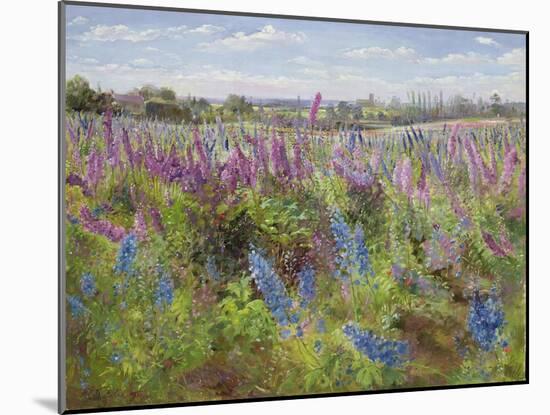 Delphiniums and Poppies, 1991-Timothy Easton-Mounted Giclee Print