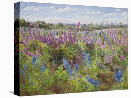 Delphiniums and Poppies, 1991-Timothy Easton-Stretched Canvas