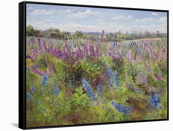 Delphiniums and Poppies, 1991-Timothy Easton-Framed Stretched Canvas