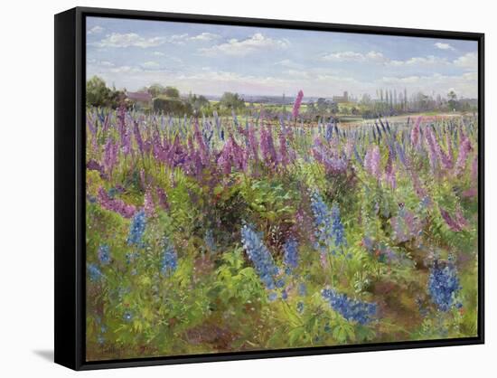 Delphiniums and Poppies, 1991-Timothy Easton-Framed Stretched Canvas