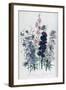 Delphiniums, Plate 3 from "The Ladies" Flower Garden", Published 1842-Jane W. Loudon-Framed Giclee Print