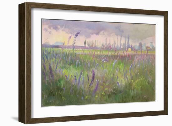 Delphiniums, Storm passing, 1991-Timothy Easton-Framed Giclee Print