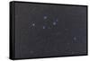 Delphinus Constellation on a Hazy Night-null-Framed Stretched Canvas