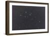 Delphinus Constellation on a Hazy Night-null-Framed Photographic Print