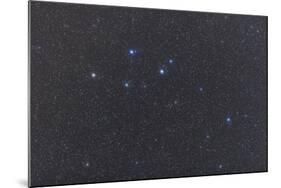 Delphinus Constellation on a Hazy Night-null-Mounted Photographic Print