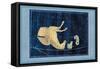 Delphinus, Equuleus and Pegassus-null-Framed Stretched Canvas