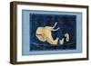 Delphinus, Equuleus and Pegassus-null-Framed Art Print