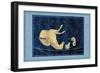 Delphinus, Equuleus and Pegassus-null-Framed Premium Giclee Print