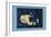 Delphinus, Equuleus and Pegassus-null-Framed Premium Giclee Print