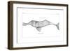 Delphinus Gangeticus (Ganges River Dolphi), 1799-null-Framed Giclee Print