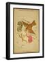 Delphinus, Sagitta and Aquila Constellations, 1825-Science Source-Framed Giclee Print