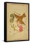 Delphinus, Sagitta and Aquila Constellations, 1825-Science Source-Framed Stretched Canvas