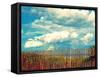 Delray Beach-Lisa Hill Saghini-Framed Stretched Canvas