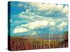 Delray Beach-Lisa Hill Saghini-Stretched Canvas