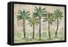 Delray Palm Horizontal-Paul Brent-Framed Stretched Canvas