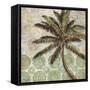 Delray Palm II-Paul Brent-Framed Stretched Canvas