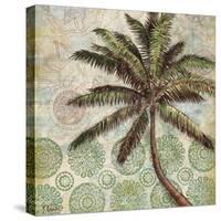 Delray Palm II-Paul Brent-Stretched Canvas