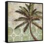 Delray Palm II-Paul Brent-Framed Stretched Canvas