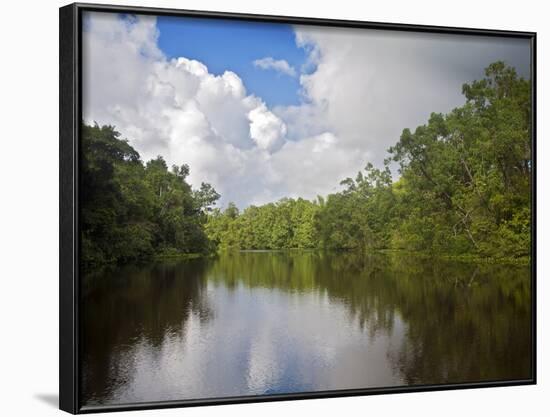 Delta Amacuro, Orinoco Delta, Venezuela, South America-Jane Sweeney-Framed Photographic Print