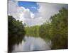 Delta Amacuro, Orinoco Delta, Venezuela, South America-Jane Sweeney-Mounted Photographic Print