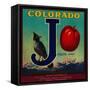 Delta, Colorado - Joslyn Apple Crate Label-Lantern Press-Framed Stretched Canvas