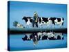 Delta Cows-Lowell Herrero-Stretched Canvas