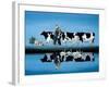 Delta Cows-Lowell Herrero-Framed Art Print