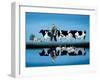 Delta Cows-Lowell Herrero-Framed Art Print