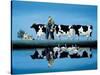 Delta Cows-Lowell Herrero-Stretched Canvas