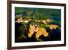 Delta Water Receding-Howard Ruby-Framed Photographic Print