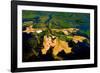 Delta Water Receding-Howard Ruby-Framed Photographic Print