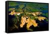 Delta Water Receding-Howard Ruby-Framed Stretched Canvas