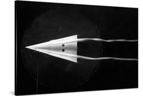 Delta Wing Aerodynamics-National Physical Laboratory-Stretched Canvas