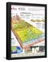 Essential Black