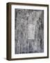 Delusion, 2007-Faiza Shaikh-Framed Giclee Print