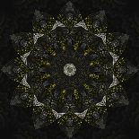 Fractal Mandala 11-Delyth Angharad-Giclee Print