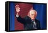 DEM 2016 Clinton Sanders-Gerald Herbert-Framed Stretched Canvas