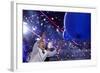 DEM 2016 Convention-Carolyn Kaster-Framed Photographic Print