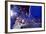 DEM 2016 Convention-Carolyn Kaster-Framed Photographic Print