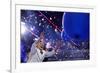 DEM 2016 Convention-Carolyn Kaster-Framed Photographic Print