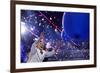 DEM 2016 Convention-Carolyn Kaster-Framed Photographic Print